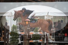 ref. photo 3252345