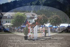 ref. photo 3252354