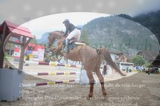 ref. photo 3252358