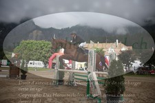 ref. photo 3252359