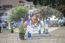 ref. photo 3252448