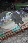 ref. photo 3252461