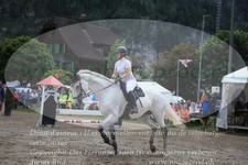 ref. photo 3252541