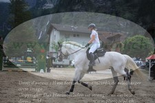 ref. photo 3252542