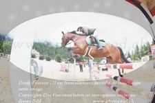 ref. photo 3252544