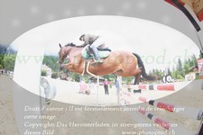 ref. photo 3252545