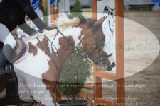 ref. photo 3252616