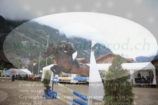 ref. photo 3252654