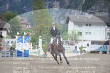 ref. photo 3252735