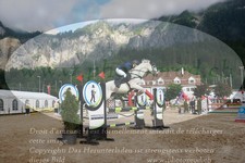 ref. photo 3252851