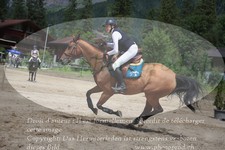 ref. photo 3252965