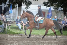 ref. photo 3252971