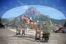 ref. photo 3253013