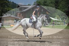 ref. photo 3253026