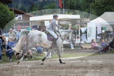 ref. photo 3253040