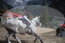 ref. photo 3253046