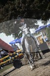 ref. photo 3253051