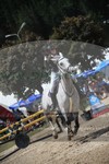 ref. photo 3253052