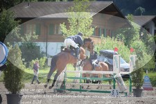 ref. photo 3253095