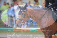 ref. photo 3253120