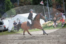 ref. photo 3253128