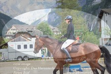 ref. photo 3253240
