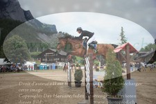 ref. photo 3253256