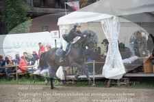 ref. photo 3253300