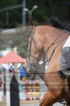 ref. photo 3253320