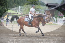 ref. photo 3253345