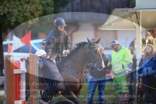 ref. photo 3253357