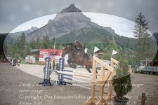 ref. photo 3253393