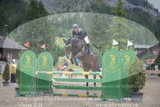 ref. photo 3253438