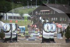 ref. photo 3253442