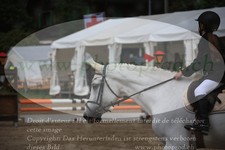 ref. photo 3253453
