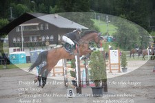 ref. photo 3253481