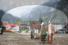 ref. photo 3253519