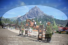 ref. photo 3253612