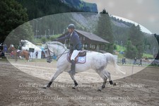 ref. photo 3253654
