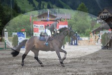 ref. photo 3253690