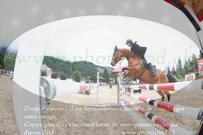ref. photo 3253811