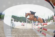 ref. photo 3253812