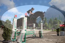 ref. photo 3253843