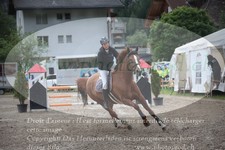 ref. photo 3253992