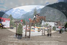 ref. photo 3254001