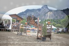 ref. photo 3254015
