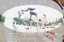 ref. photo 3254039