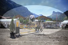 ref. photo 3254103