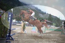 ref. photo 3254148