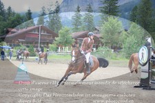 ref. photo 3254173